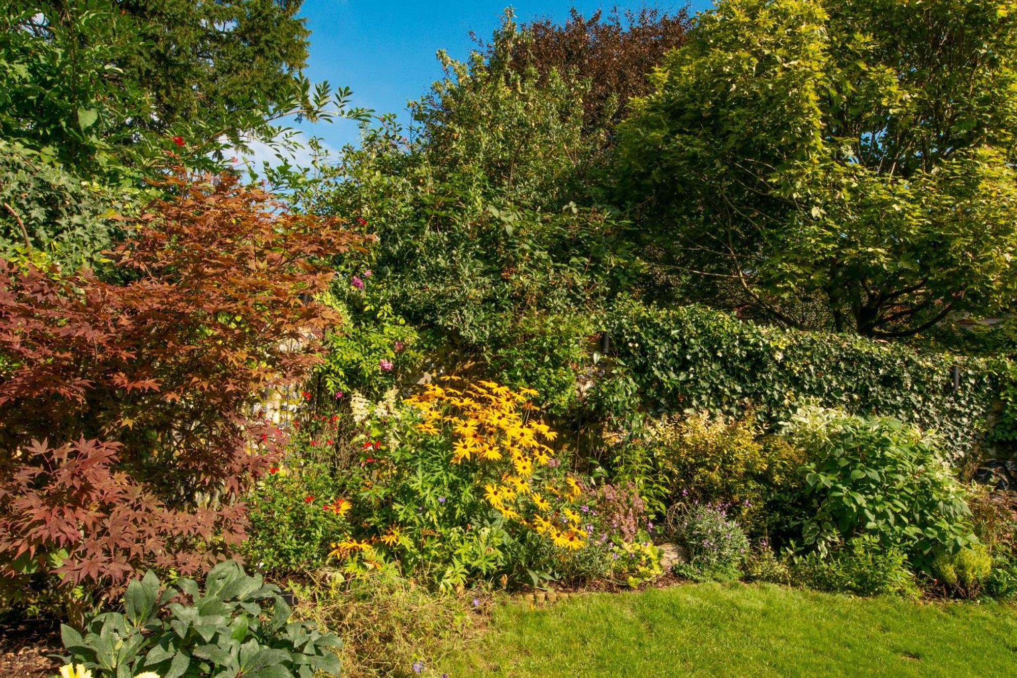 Miller Cottage A Luxury 1550'S Cottage In The Historic Centre Of Saffron Walden Eksteriør bilde